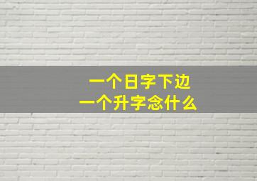 一个日字下边一个升字念什么