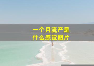 一个月流产是什么感觉图片