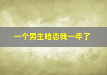 一个男生暗恋我一年了