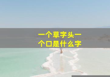 一个草字头一个口是什么字