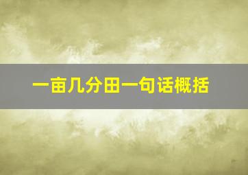 一亩几分田一句话概括