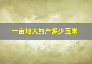 一亩地大约产多少玉米