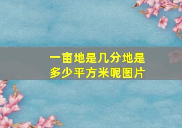 一亩地是几分地是多少平方米呢图片