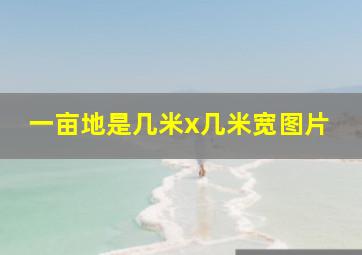 一亩地是几米x几米宽图片