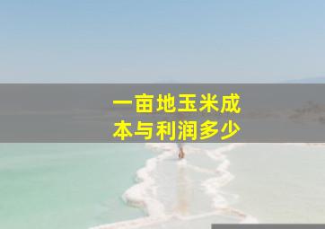 一亩地玉米成本与利润多少