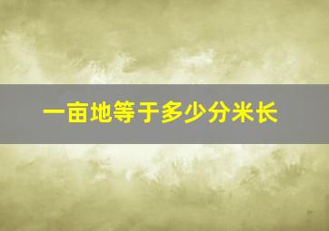 一亩地等于多少分米长