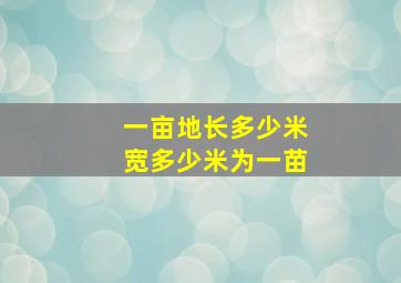 一亩地长多少米宽多少米为一苗