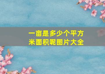 一亩是多少个平方米面积呢图片大全