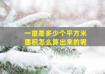 一亩是多少个平方米面积怎么算出来的呢