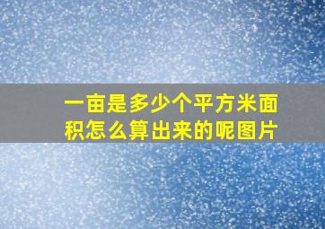 一亩是多少个平方米面积怎么算出来的呢图片