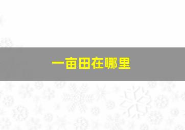 一亩田在哪里