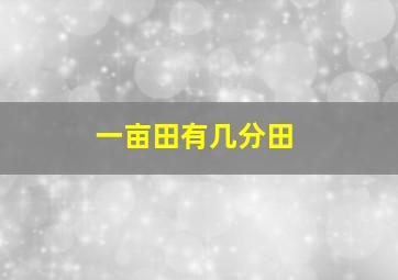 一亩田有几分田