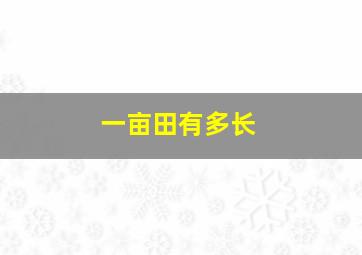 一亩田有多长