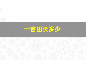 一亩田长多少