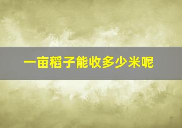 一亩稻子能收多少米呢