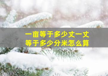 一亩等于多少丈一丈等于多少分米怎么算