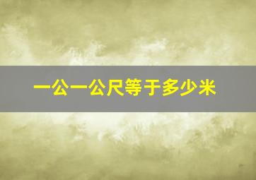 一公一公尺等于多少米