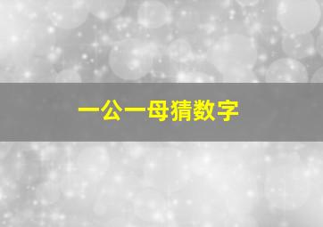 一公一母猜数字