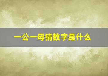 一公一母猜数字是什么