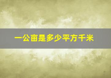 一公亩是多少平方千米