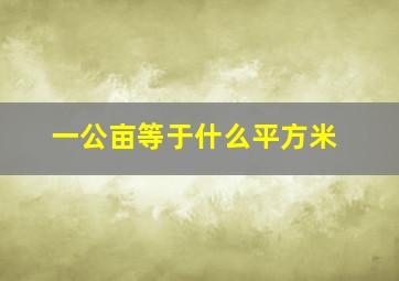 一公亩等于什么平方米