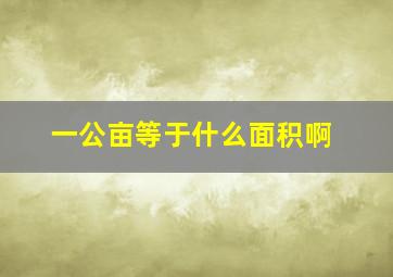 一公亩等于什么面积啊