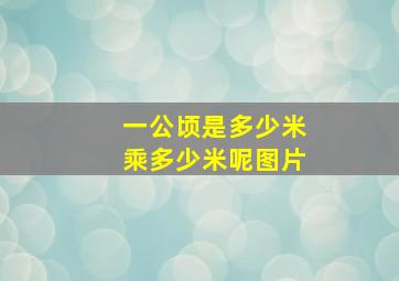 一公顷是多少米乘多少米呢图片