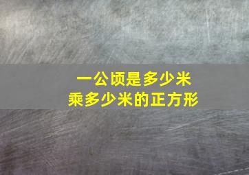 一公顷是多少米乘多少米的正方形