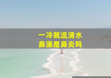 一冷就流清水鼻涕是鼻炎吗