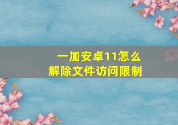 一加安卓11怎么解除文件访问限制