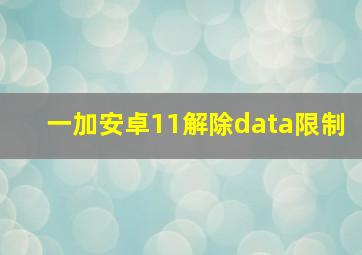 一加安卓11解除data限制