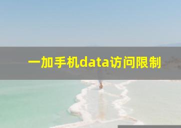 一加手机data访问限制