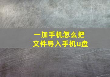 一加手机怎么把文件导入手机u盘