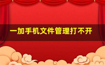 一加手机文件管理打不开