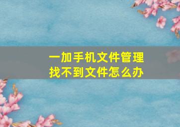 一加手机文件管理找不到文件怎么办