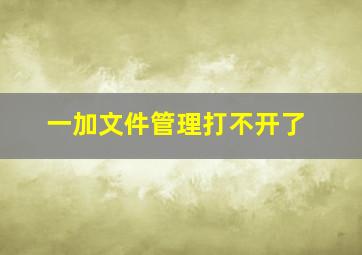 一加文件管理打不开了