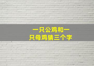 一只公鸡和一只母鸡猜三个字