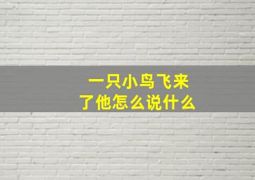 一只小鸟飞来了他怎么说什么