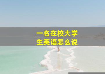 一名在校大学生英语怎么说