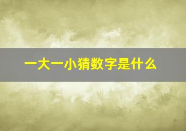 一大一小猜数字是什么