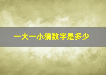 一大一小猜数字是多少