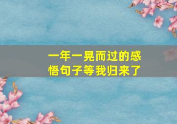 一年一晃而过的感悟句子等我归来了