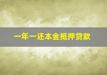 一年一还本金抵押贷款