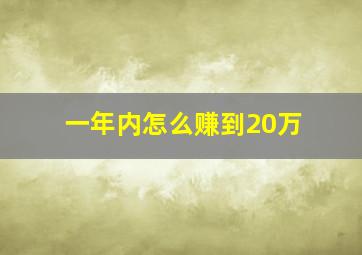 一年内怎么赚到20万