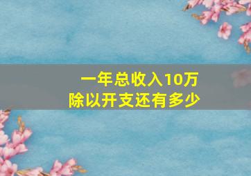 一年总收入10万除以开支还有多少