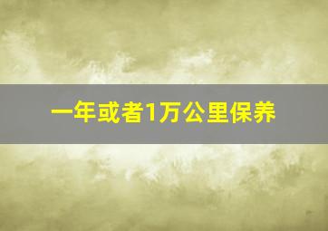 一年或者1万公里保养