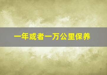 一年或者一万公里保养