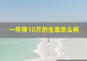 一年挣10万的生意怎么样