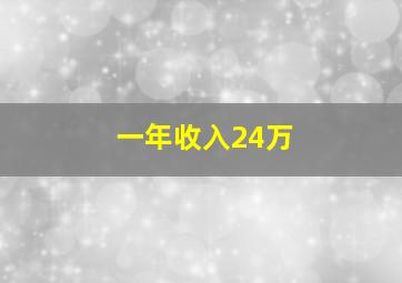 一年收入24万