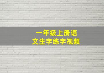 一年级上册语文生字练字视频